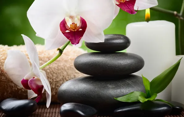 Stones, Orchid, flowers, Spa, orchid, stones, candle, spa