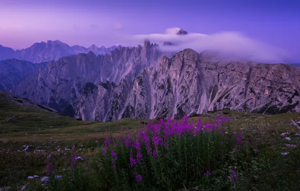Picture clouds, flowers, mountains, The Dolomites