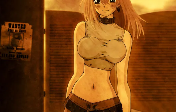 Hakupha Sonsaku, Sonsaku Hakufu, IkkiTousen