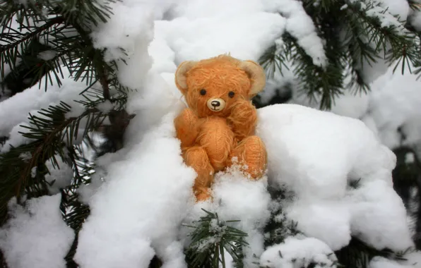 Winter, snow, branches, in the snow, toy, spruce, red, Christmas