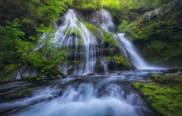 River, waterfall, moss, cascade, Columbia River Gorge, Panther Creek Falls, Gifford Pinchot National Forest, Washington …