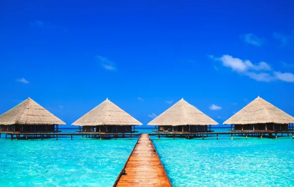 Bridge, nature, tropics, the ocean, Bungalow