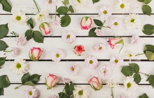 Picture flowers, spring, decorative, leaves, roses, composition, pink, roses