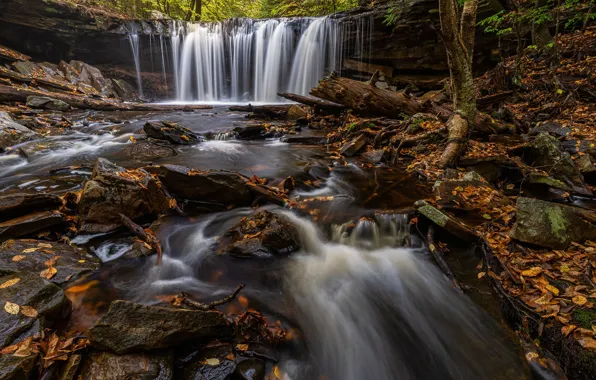 Autumn, stream, stones, waterfall, river, PA, Pennsylvania, Ricketts Glen State Park