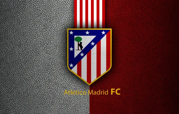 Picture wallpaper, logo, football, Sport, Atletico Madrid, Primera Division