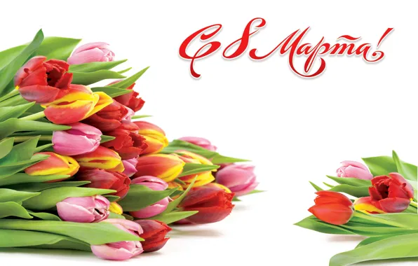 Picture flowers, spring, March 8, women's day