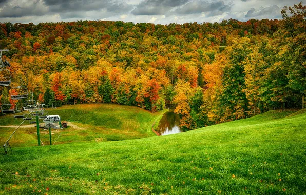 Picture autumn, forest, grass, leaves, hills, lift