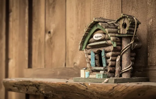 Background, home, house