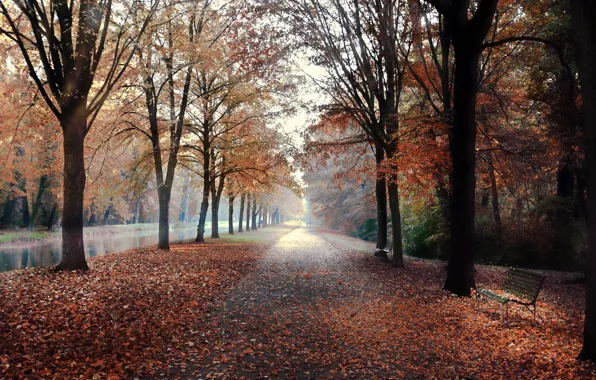Autumn, the city, street