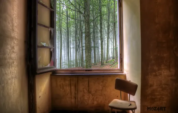 Picture forest, room, window