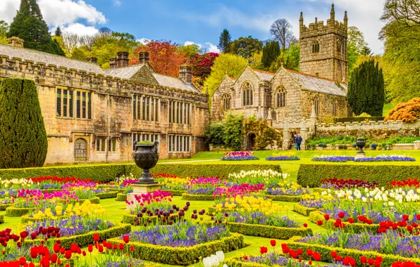 Flowers, England, garden, Church, mansion, England, Cornwall, Cornwall