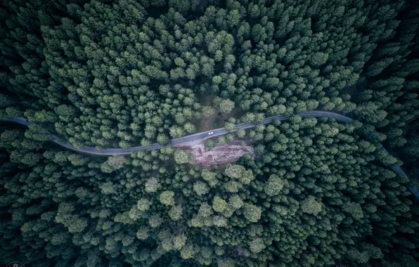 Road, machine, forest, the view from the top