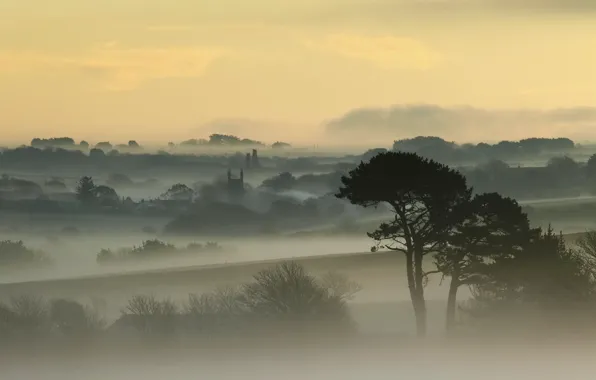 Picture the sky, trees, fog, dawn, England, home, England, Cornwall, Cornwall