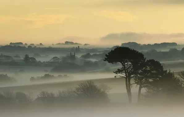 The sky, trees, fog, dawn, England, home, England, Cornwall