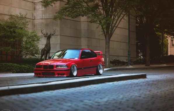 Auto, tuning, BMW, BMW, red, red, tuning, E36