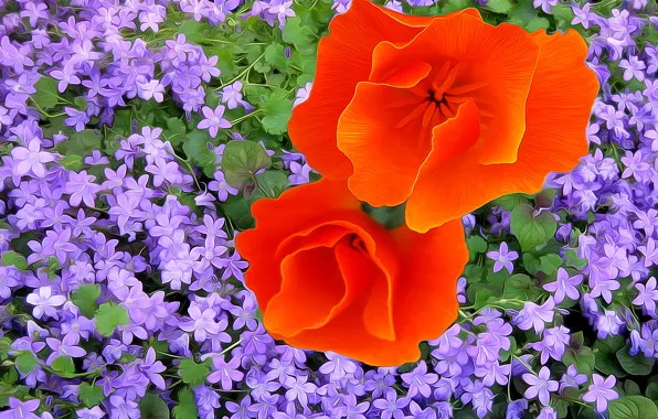 Line, flowers, paint, petals