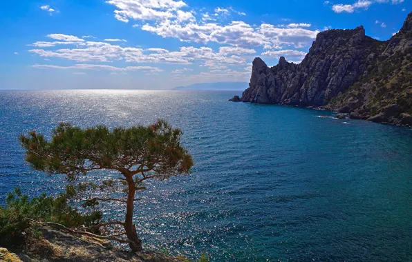 Sea, the sky, the sun, clouds, trees, rocks, coast, horizon