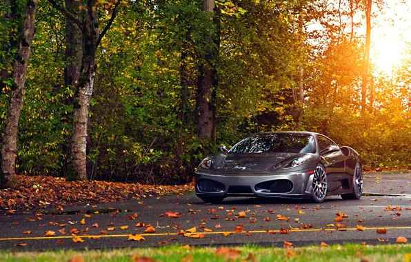 Road, autumn, ferrari f430