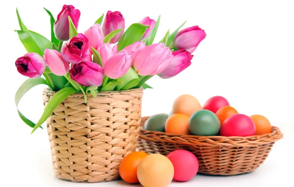 Picture eggs, Easter, tulips, easter, white background