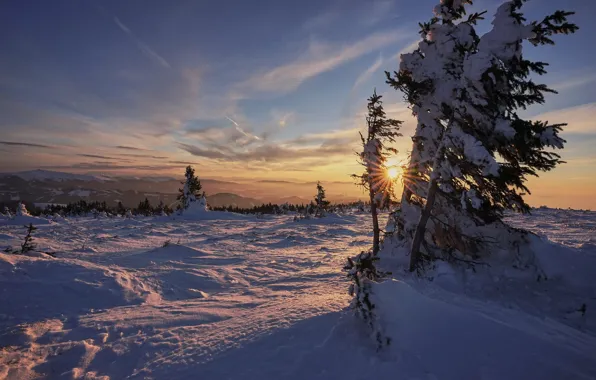 Winter, field, forest, the sky, the sun, clouds, rays, snow