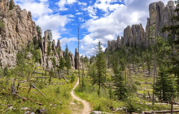Picture the sky, clouds, trees, stones, rocks, USA, path, branches