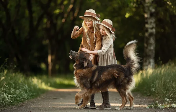 Summer, nature, children, each, animal, girls, dog, hats