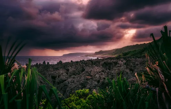The sky, clouds, plants, slope