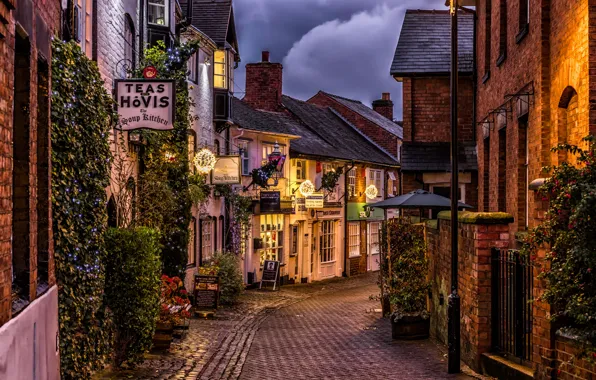 Lights, plant, England, home, the evening, lights, lane, Stafford