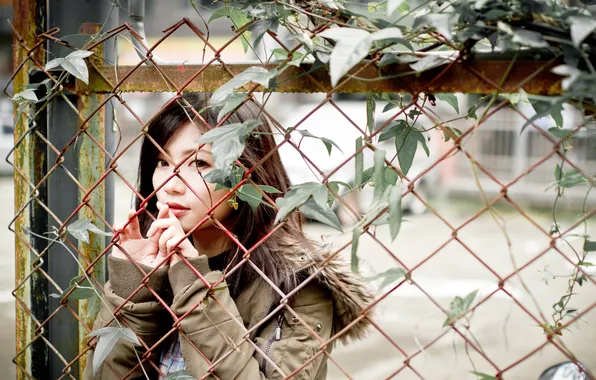Girl, the fence, Asian