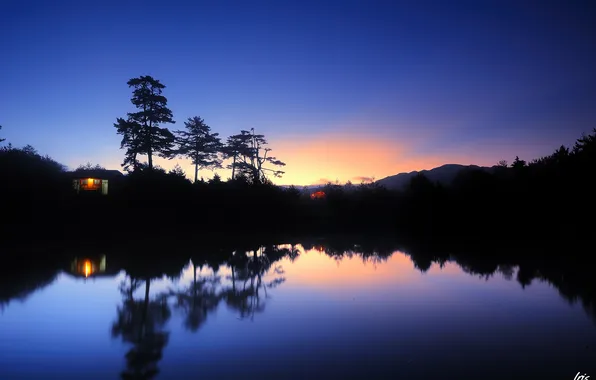 Picture trees, night, lights, lake, home, lo and behold