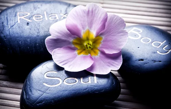 Flower, the inscription, Spa, Spa, Spa stones, Spa stones, the label, the flower
