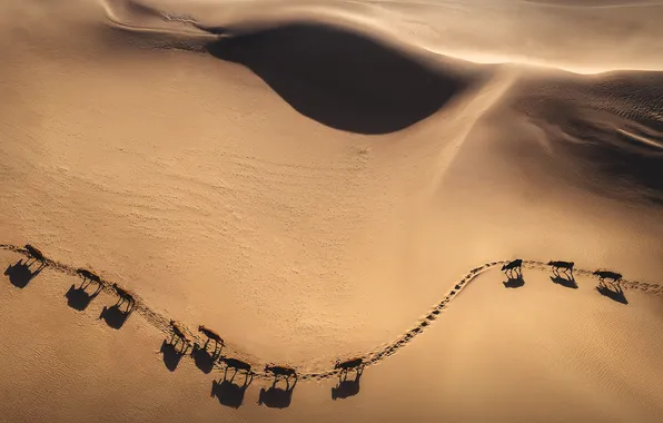 Picture The Sands of Tuyesu, Kazakhstan, Mangystau, Dmitry Kupratsevich