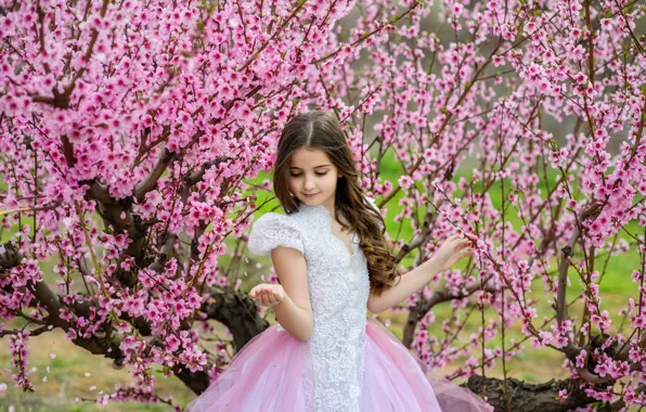 Trees, spring, Sakura, dress, girl, girl, flowering, pink