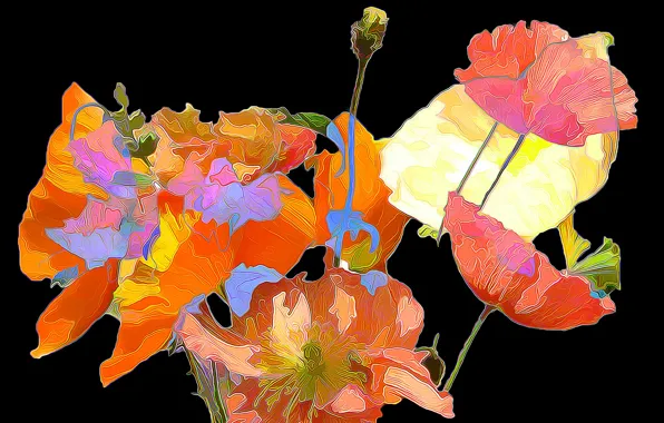 Picture line, flowers, background, paint, Maki, bouquet, petals