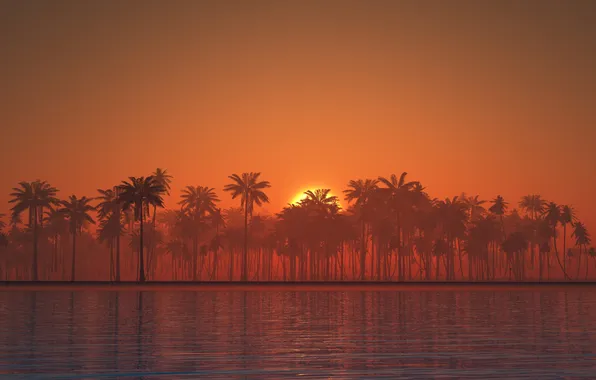 Sea, the sky, sunset, nature, palm trees, shore, art, silhouettes