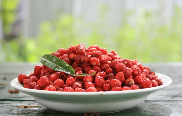 Picture summer, nature, berries, Wallpaper, food, strawberries, yummy