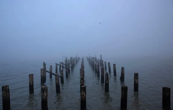 Sea, landscape, support