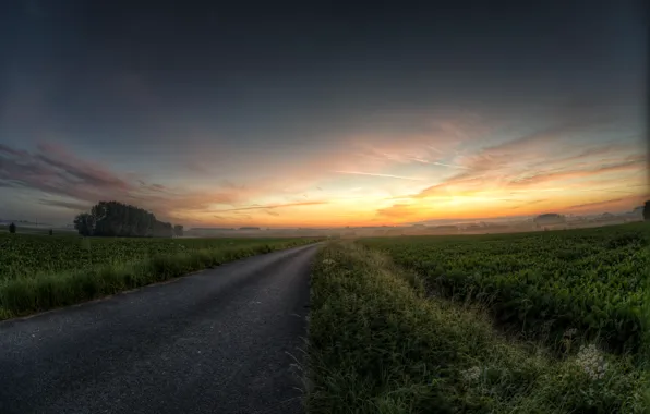 Road, greens, colors, hdr, road, field, landscape, blue
