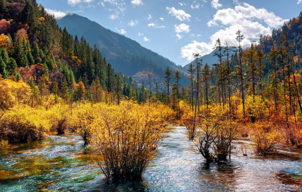 Autumn, forest, the sky, clouds, trees, mountains, China, river