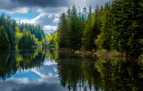 Forest, reflection, lake, spring, Canada, British Columbia