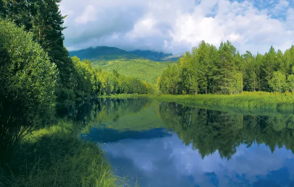 Picture summer, the sky, grass, water, clouds, trees, surface, reflection