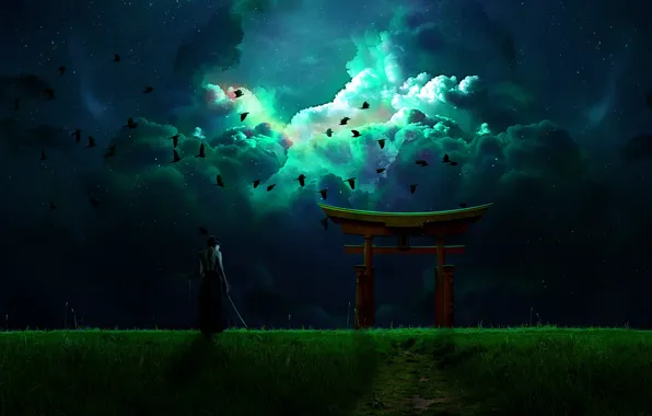 The sky, birds, night, weapons, warrior, male, torii