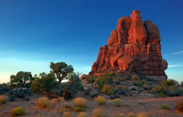 Picture the sky, trees, sunset, mountains, rocks, desert
