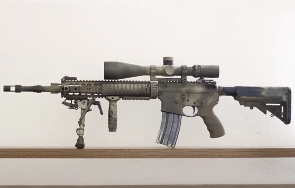 Picture weapons, assault rifle, MK12