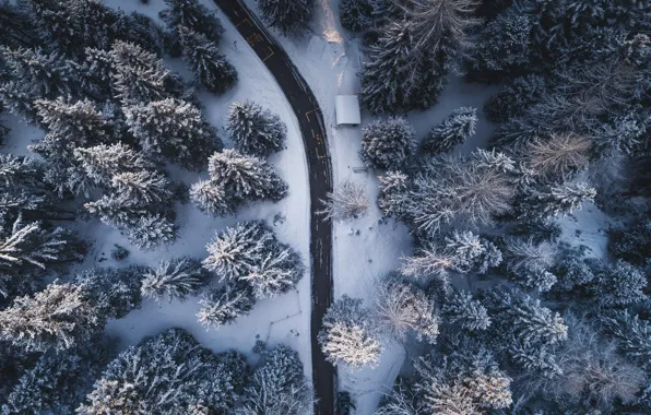 Picture winter, road, forest, trees, nature, the view from the top