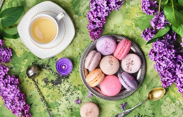 Picture flowers, flowers, lilac, cup, tea, macaroons, macaron, lilac