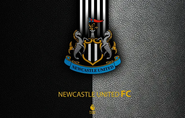 Wallpaper wallpaper, sport, logo, football, English Premier League