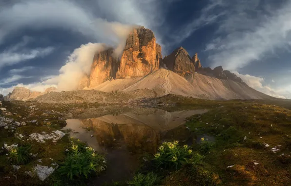 Flowers, mountains, pond, The Dolomites
