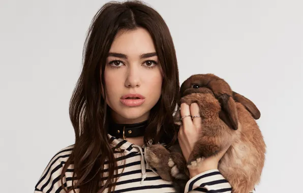 Picture portrait, look, rabbit, girl, Dua Lipa