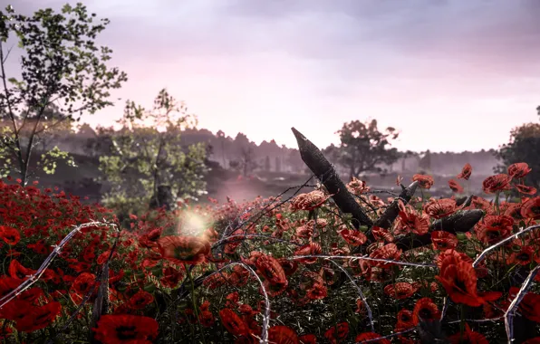 Picture nature, Mac, barbed wire, Electronic Arts, Battlefield 1